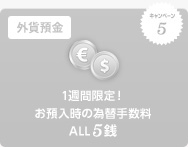 キャンペーン5 外貨預金 1週間限定!お預入時の為替手数料 ALL5銭 キャンペーン5 外貨預金 1週間限定!お預入時の為替手数料 ALL5銭